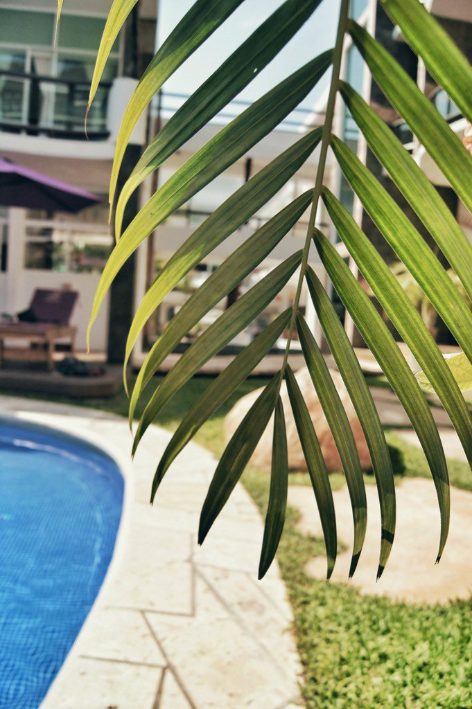 Time for holidays. Tiempo de vacaciones! 😎🌴