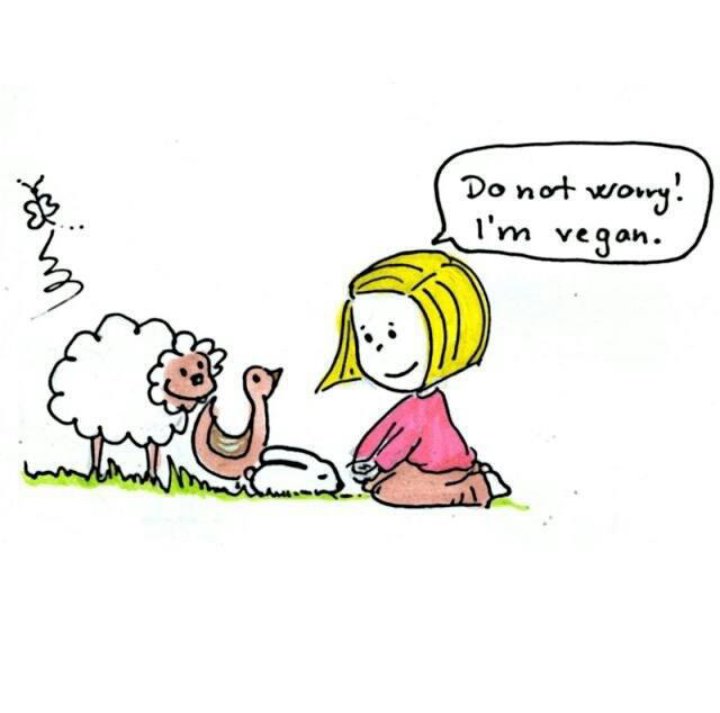 veganfuture's tweet photo. Go vegan for the animals https://t.co/G9GJos0Zt2