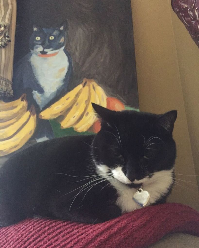 chelsea_maps's tweet photo. The #matriarch of the household. Please further any portrait inquiries to @katherine_mae. … https://t.co/vkIqXUAVUj https://t.co/snLyEIX3SX