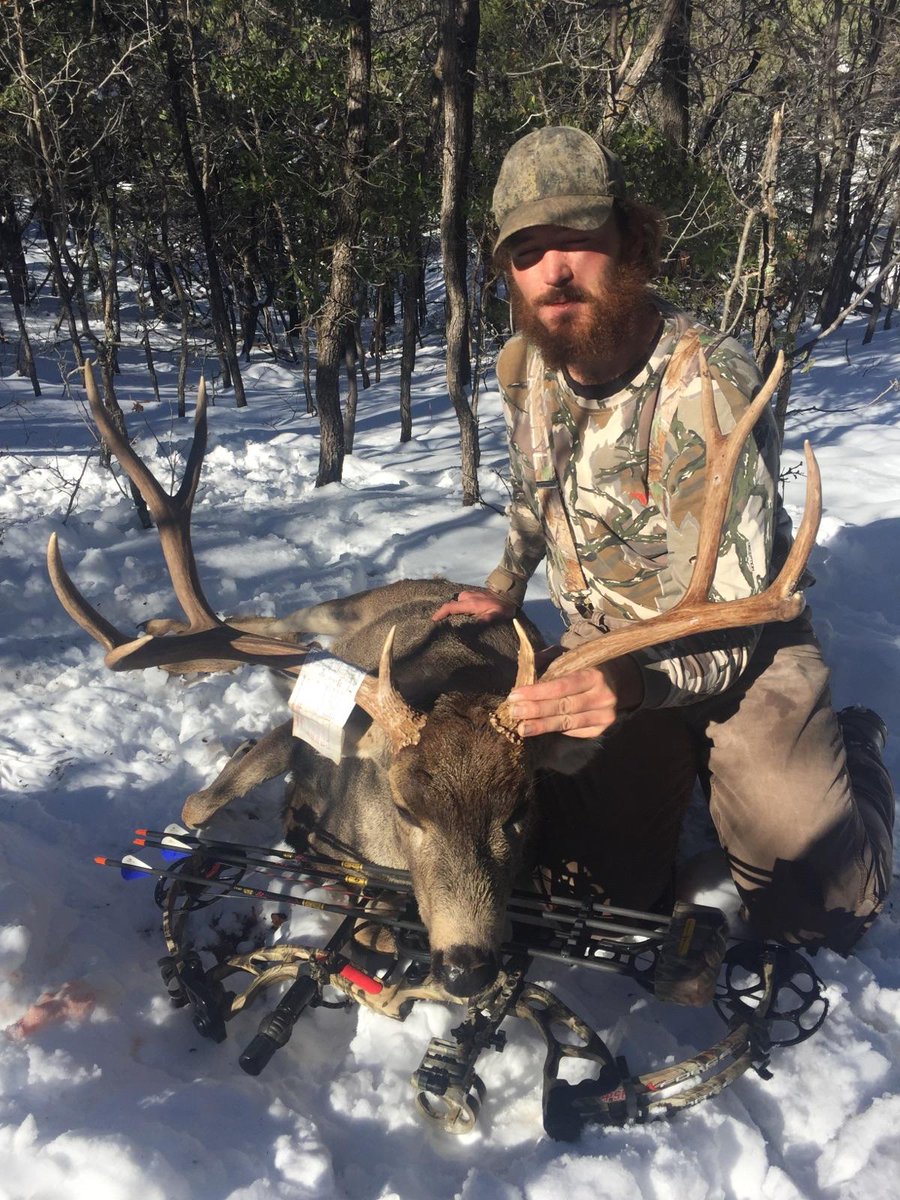 CodyRose234's tweet photo. #muleycrazy #arizonamuledeer #archerydeer https://t.co/4pPcawPLeW