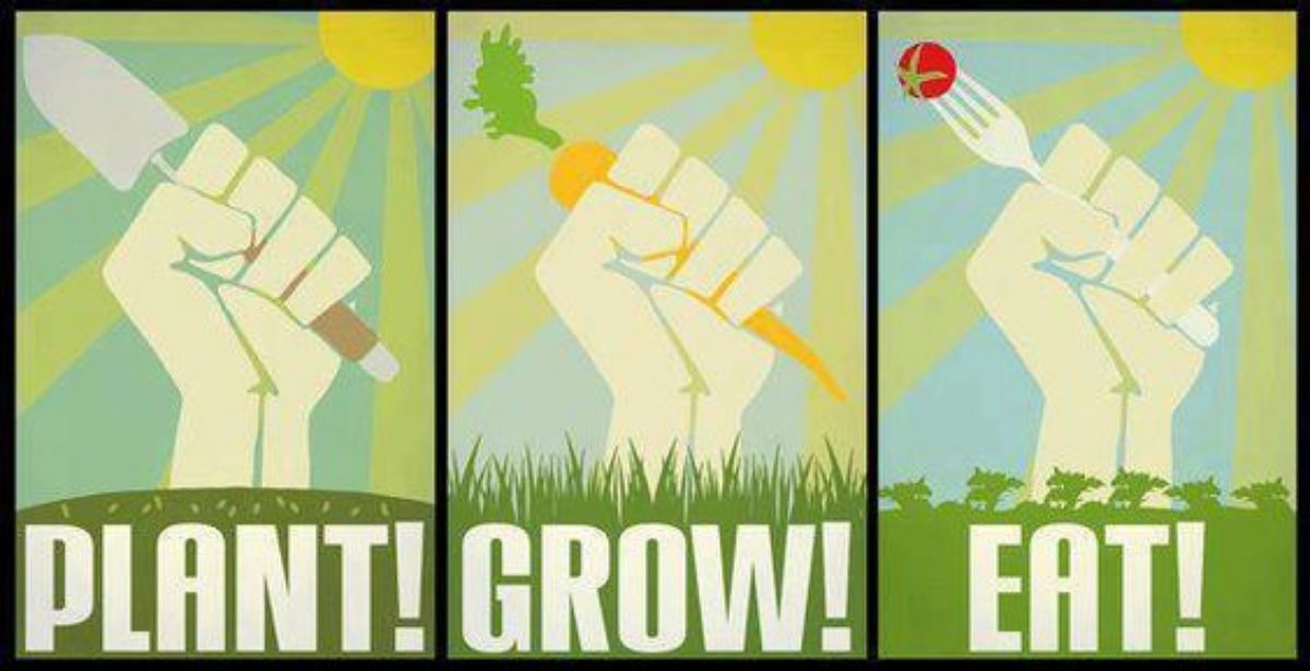 One of the best actions you can take is growing your own food. Even if its just a small pot in the window! #FoodTank