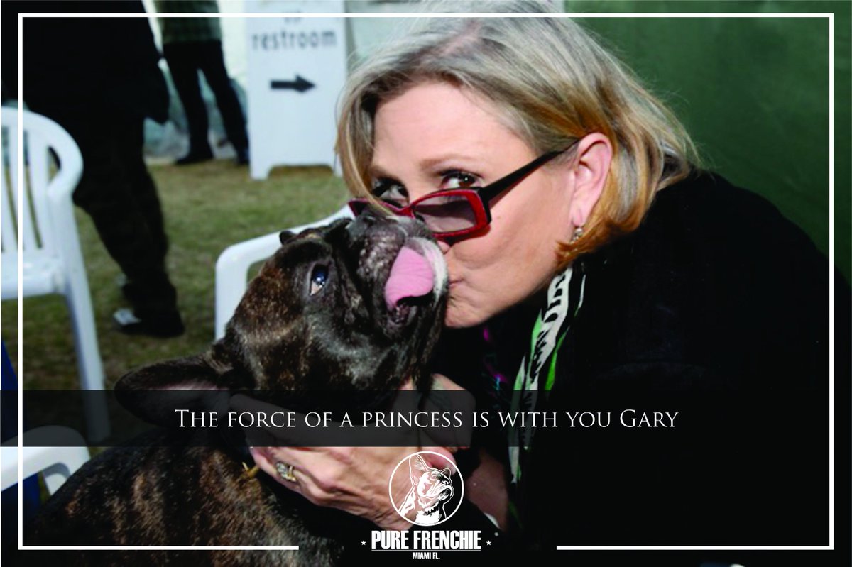 The force of a princess is with you, little Gary @Gary_TheDog