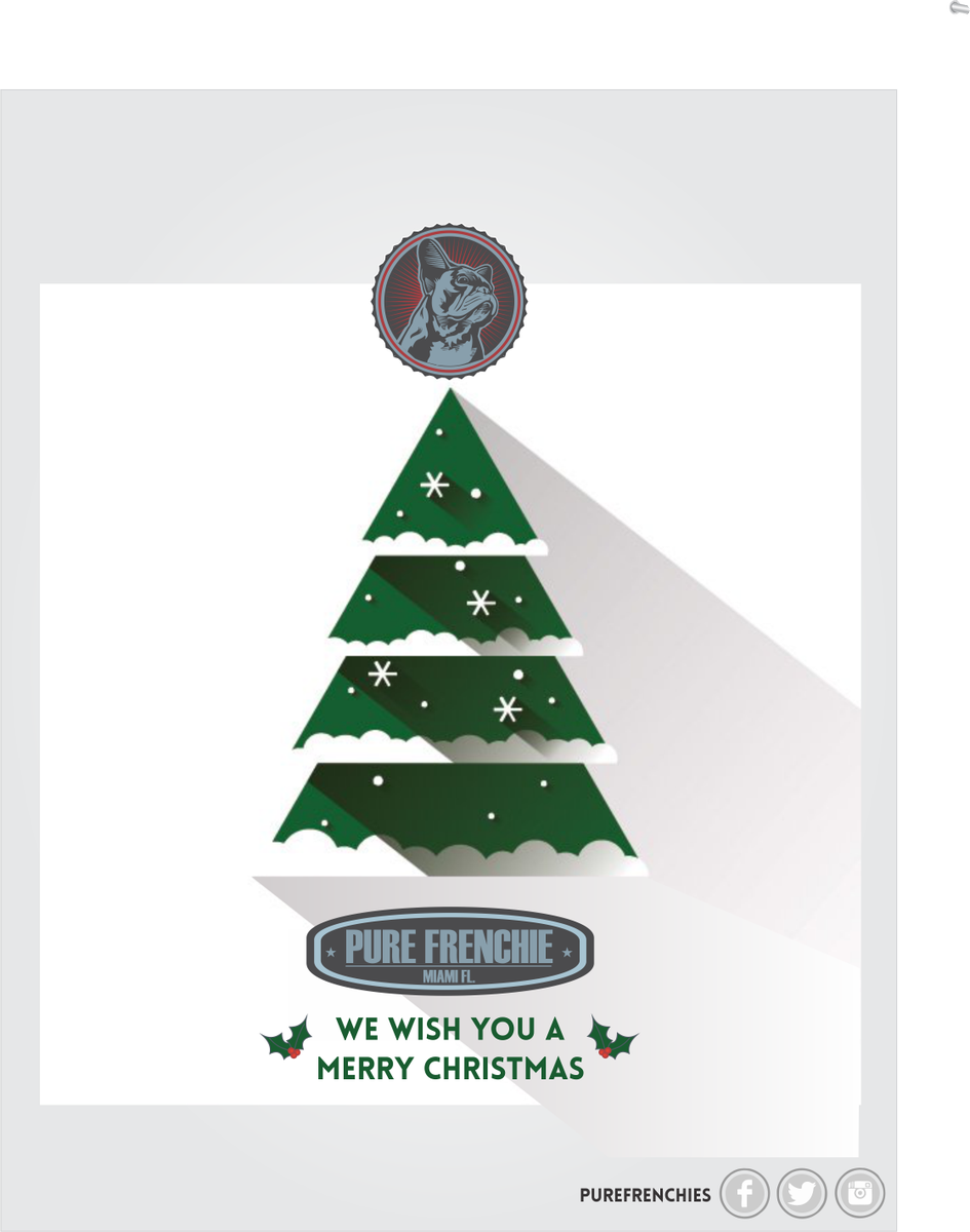 We wish you a Merry Christmass!!