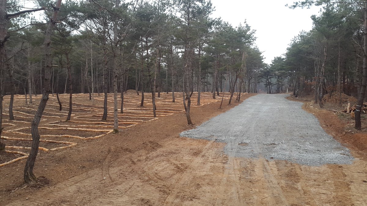 newjjun's tweet image. 《땡볕아래서 주말농장?
    시원한 그늘 아래서 산림텃밭은 어떠세요^~》
내년 봄 분양을 목표로  국내 최초 상업적으로 추진 되고있는 산나물 재배 전용
산림텃밭이 점차 모습을 갖춰간다~~~