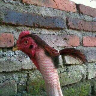 Farha On Twitter Sweatpants Hair Tied Chillin With No Makeup On