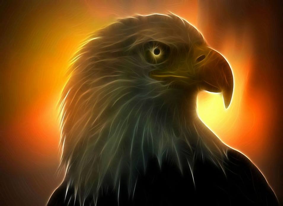 Time for the Eagle to Fly High C0upFs9W8AkxFXN