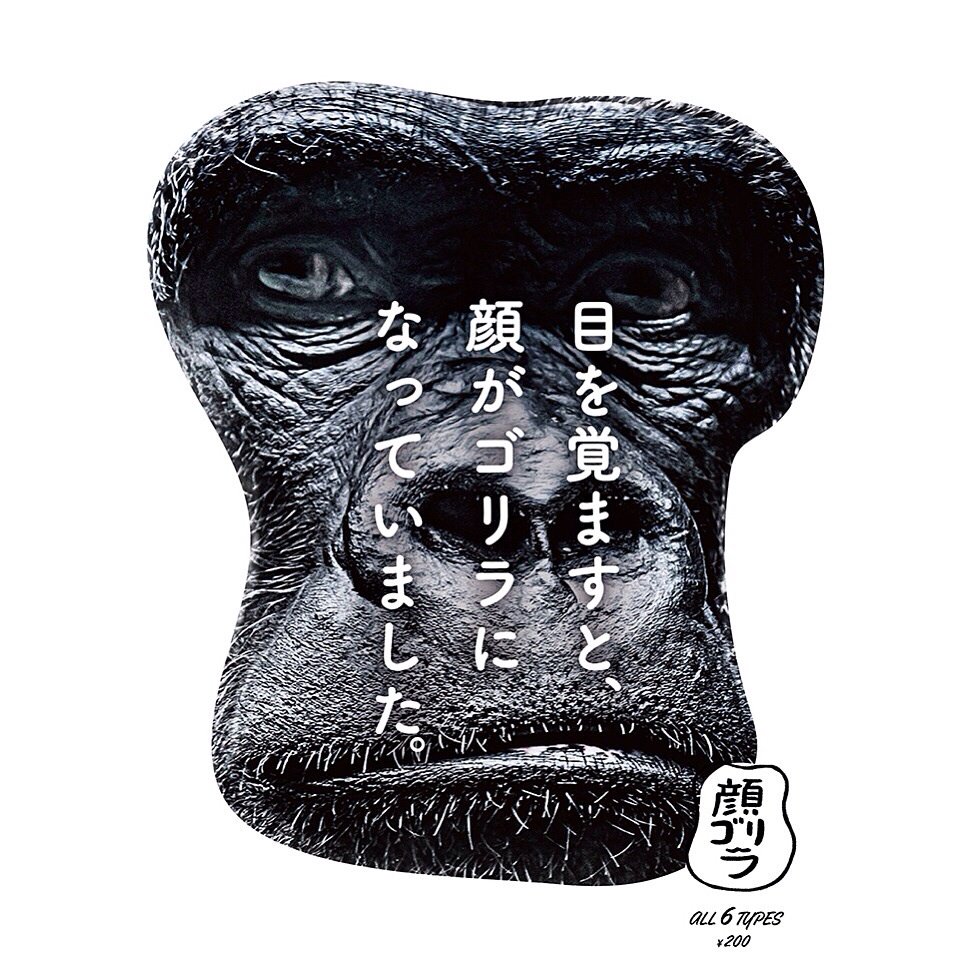 パンダの穴9日展」も残すところあと4日になりましたが新作のご紹介に