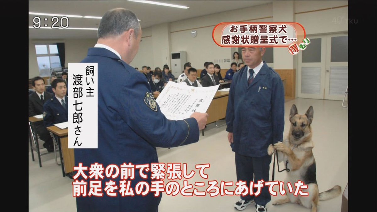 らる子 俺かわお疲れさまでした Na Twitteru 1番好きな犬と警察官のやりとりは 行方不明になった小学生をわずか3分で発見した警察犬 クヴィレット号 くんの表彰式のやつ