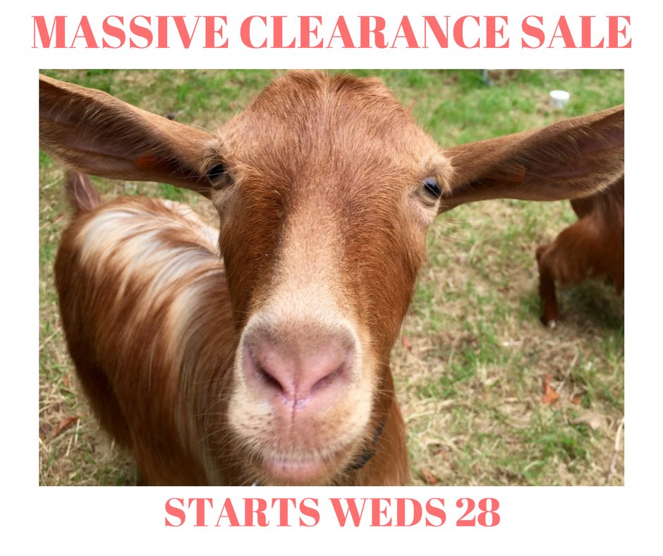 Our "pop up" shop at Oatlands is now closed, all of our stock is now at the town shop for a huge clearance sale