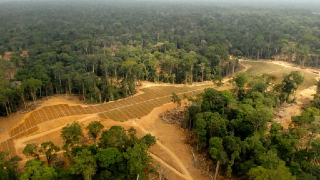 FRANCE24's tweet photo. After Asia, palm oil faces backlash in Africa https://t.co/uOXFmLYhr7 https://t.co/dwom9EONwX