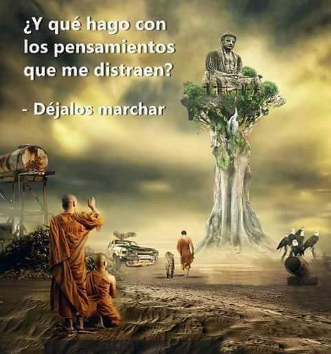heidy1635's tweet photo. @Oyebien @DSacalos #marchafinal #oladerocaspesadas https://t.co/sN22efnRZi