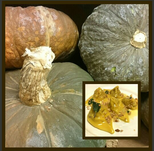 BandBRistorante's tweet photo. Intuitive Forager, Kerry Clasby, provides the Marina Di Chioggia squash that fills our seasonal “Cappellacci di Zucca!” #intuitivetuesday https://t.co/5DCBllzcsz