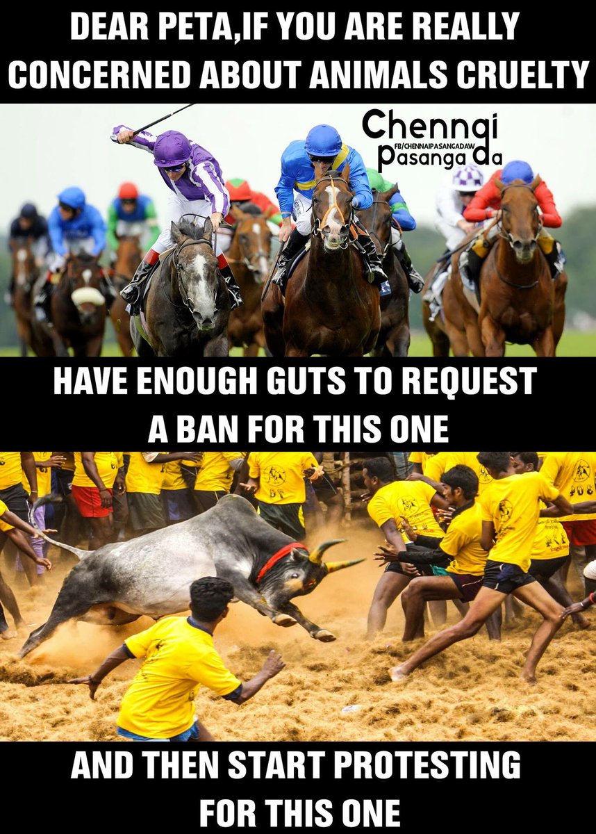 RazikRaz's tweet image. #Jallikattu is not a Barbaric Sport,Its our Traditional Sport and Its a Identity of #Tamizhans.
#TNneedsJALLIKATTU
#ISupportJallikattu