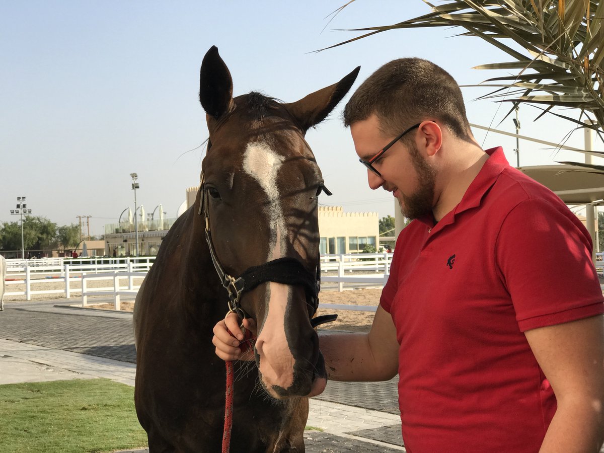 mandaraclub's tweet photo. Rider Matthew and Salitas after a ride and shower #horsehour #horses #abudhabi #mecad https://t.co/i5YjAqqqjD