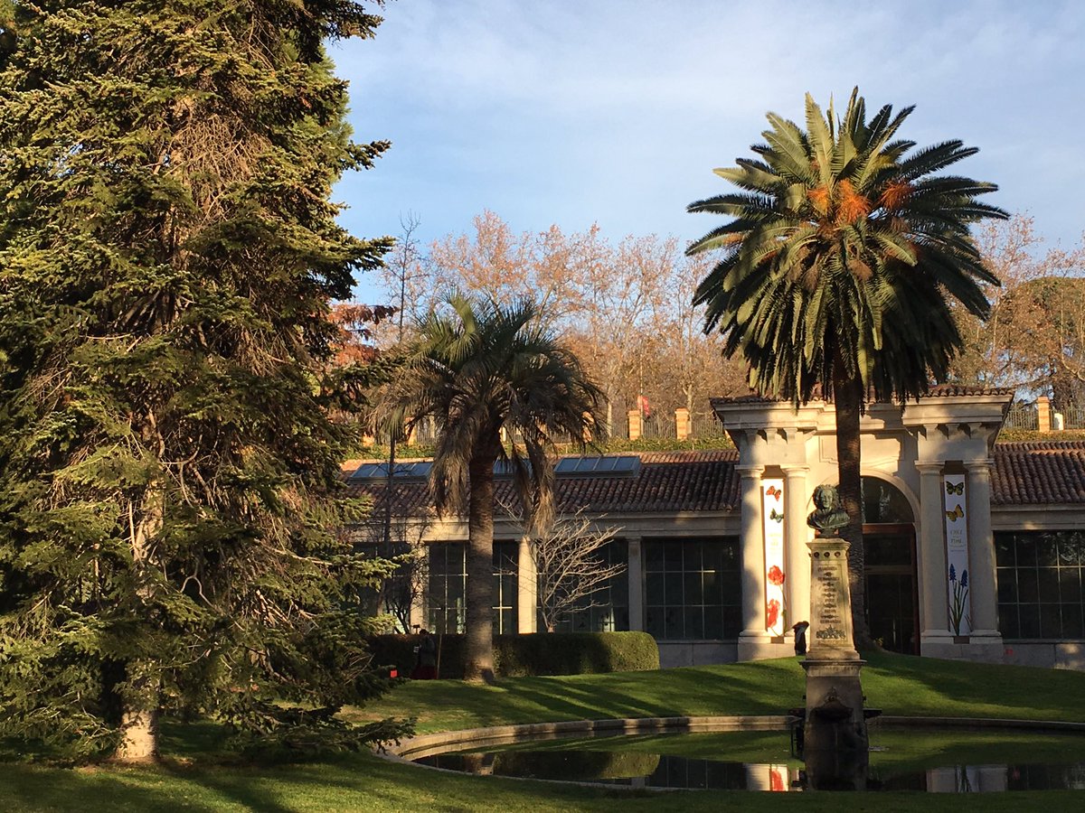 Rossitza_Marino's tweet photo. #Madrid in #winter #sun #humanwarmth #PaseoDelPrado #RealJardínBotánico #Enjoy the ☀️ https://t.co/rFs8naNCxi