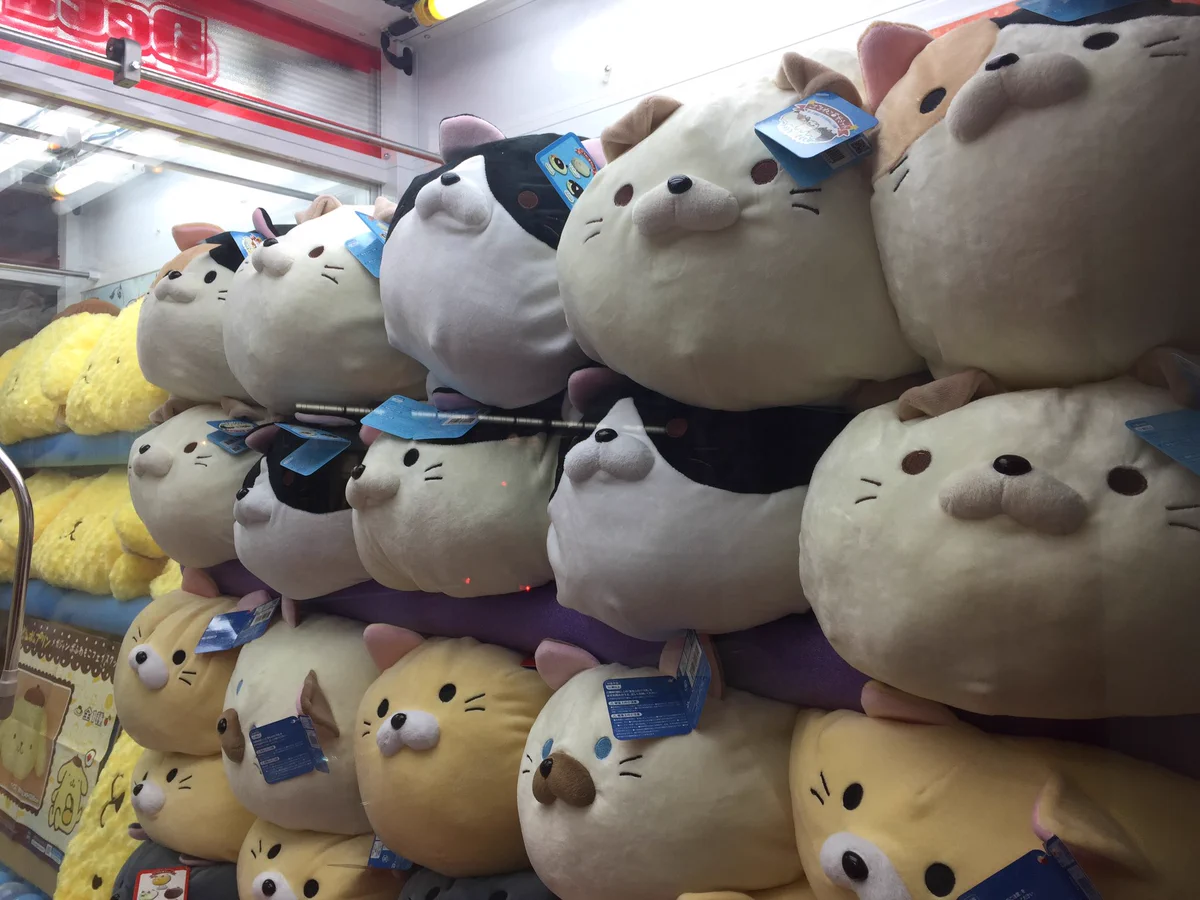 タイステ 金沢店 on X: 