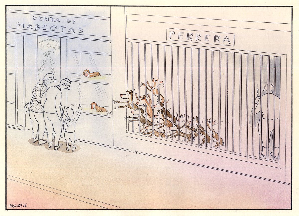 pacocatt's tweet photo. Mi viñeta de hoy miércoles 28 de Diciembre de 2016. https://t.co/KsPPwMDDv2