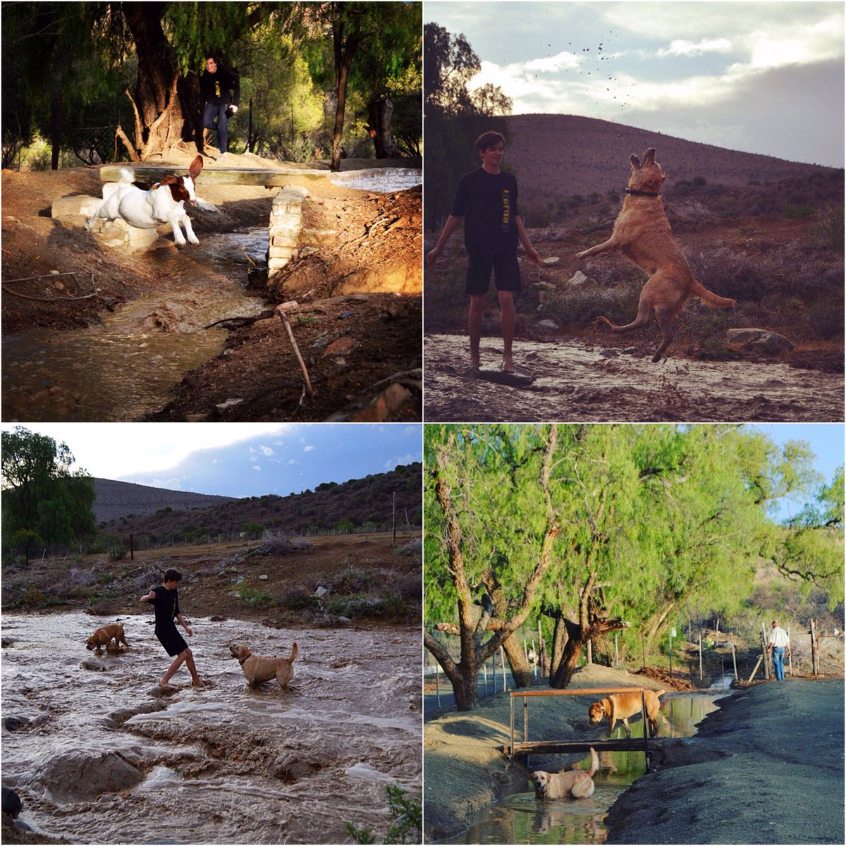 Playing in the rain, so much fun as the furrows and rivers flow after a dry spell in the Karoo! @MyEasternCape <a href="/MyKarooLife/">My Karoo Life</a>