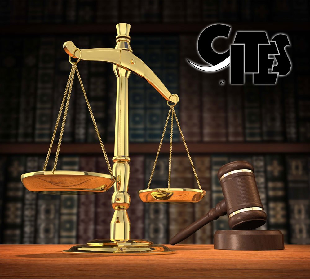 CITES's tweet photo. #JobOpening @CITES Secretariat - Legal Officer https://t.co/parytaLGr5 Apply now &amp; spread the word! https://t.co/o5qwzb3Vfz