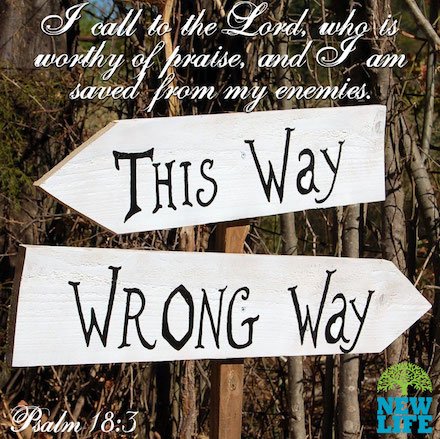 New Life Ministries tweet media