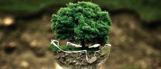 Underveisevaluering av ENERGIX på oppdrag fra <a href="/forskningsradet/">Norges forskningsråd</a> 
oxfordresearch.no/publikasjoner/… #evaluering