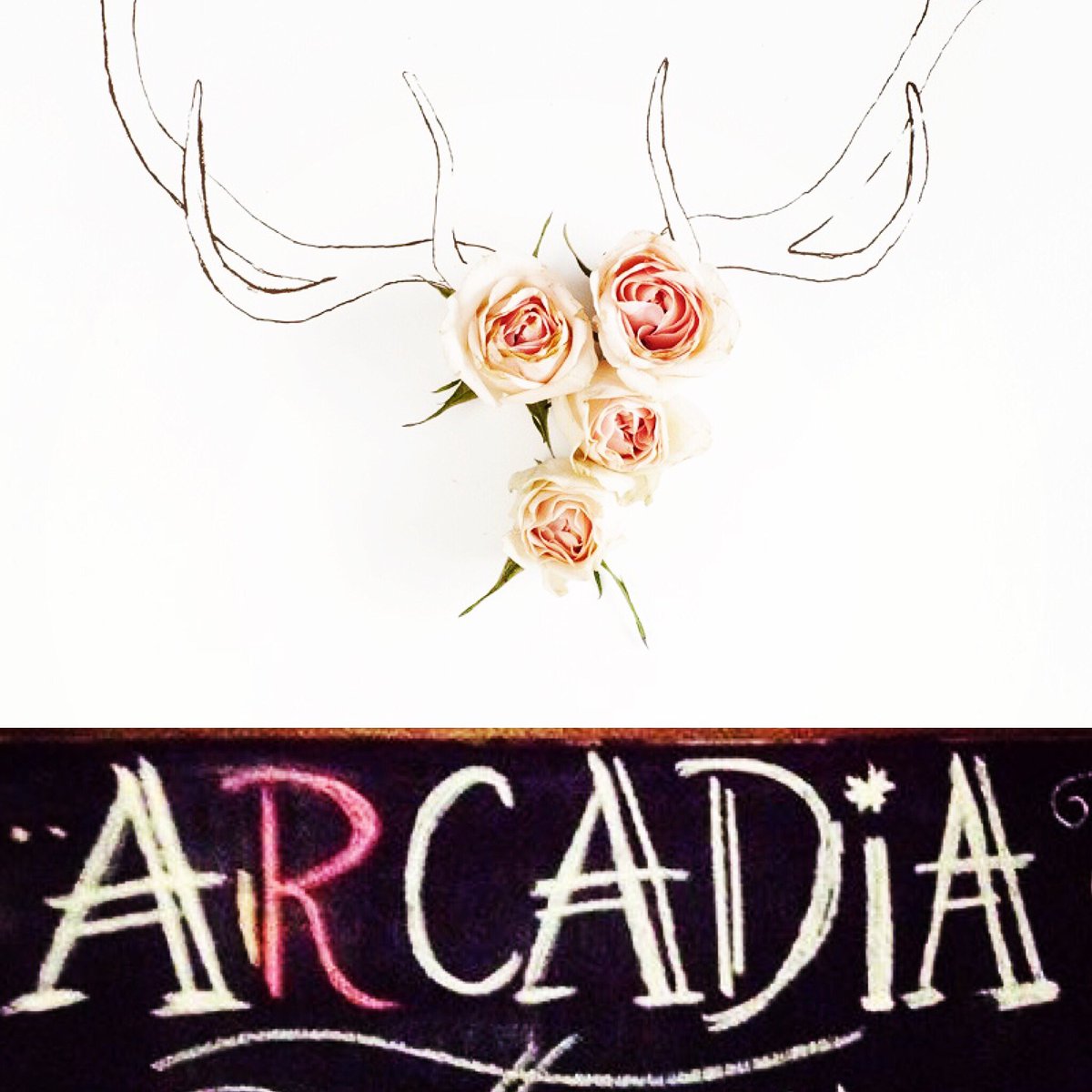 oliviarosemusic's tweet image. July 19th @ @arcadiayeg 
7 pm