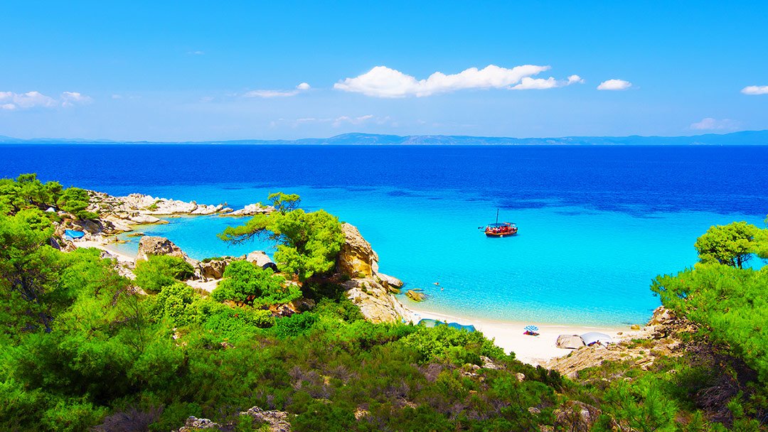 Directline Holidays tweet media