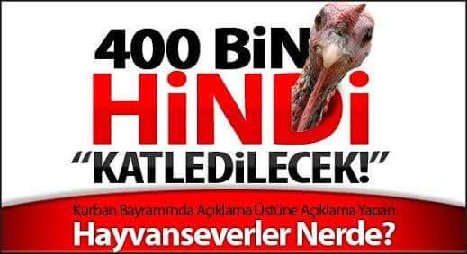 Kurban bayramını hayvan keserek kutlayan zihniyeti aklı almayanlar.?👇

Ama yil başını hindi keserek kutlayanlari akliniz aliyor degilmi 🤔?