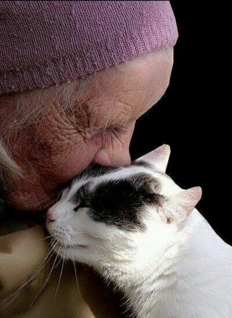 velicu_mega's tweet photo. @inthemoodfortw @StanislawStawis ȘI NICI MĂCAR NU ARE BREVET DE ZBOR! UN JOB PTR.UN OLD MEN ??✍️✍️✍️ https://t.co/jVIXfpUGC4
