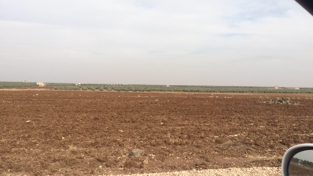 zaitzaytoon's tweet photo. من زيارتنا لمزارع الزيتون في إربد بالمملكة الأردنية أثناء الحصاد في شهر ٢٠١٦/١١ https://t.co/VHjonliDma