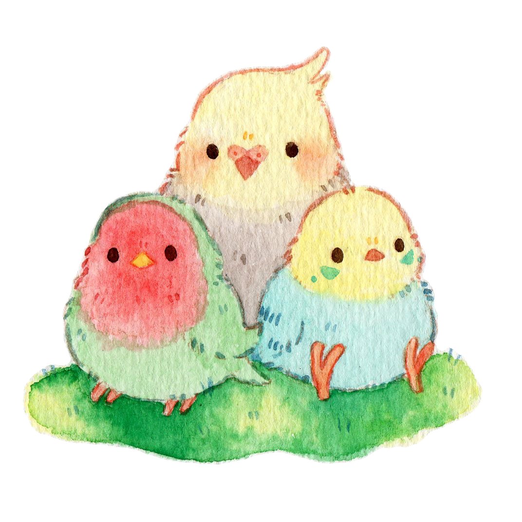 だてちゃん インコさんまとめ 最近あげているインコなどの鳥さんイラストは 原画やグッズを来年の1月のインコイベントで販売します T Co Bqcpkmdajp Twitter だてちゃん インコさんまとめ 最近あげているインコなどの鳥さんイラストは 原画やグッズを来年の1月のインコイベントで販売します T Co Bqcpkmdajp Twitter