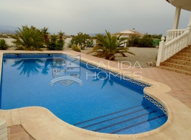 CalidaHomes's tweet image. 3 BED VILLA WITH LARGE  2,500 MTR GARDEN , 8 X 4 PRIVATE POOL AND WONDERFUL VIEWS ALBOX ALMERIA-

 calidahomespropconsult.com/view-property/…