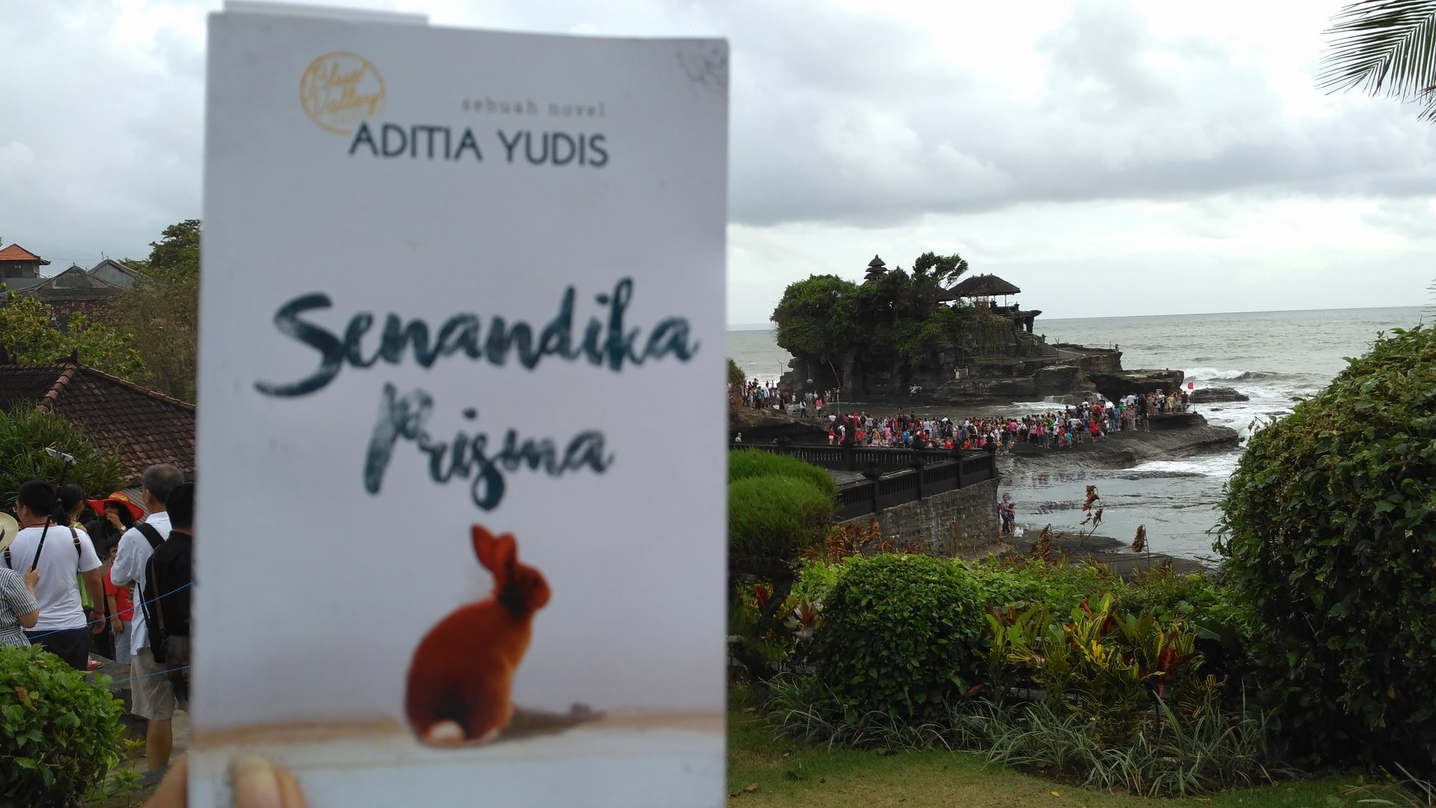 Review Novel Senandika Prisma