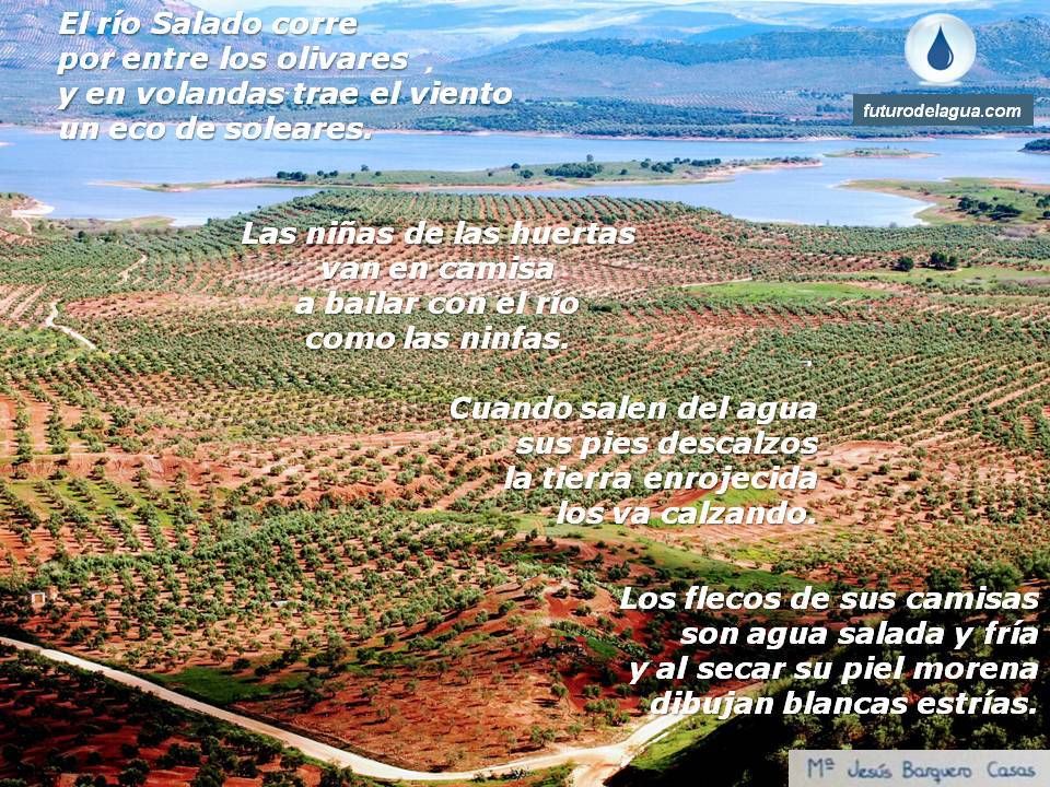 futurodelagua tweet picture