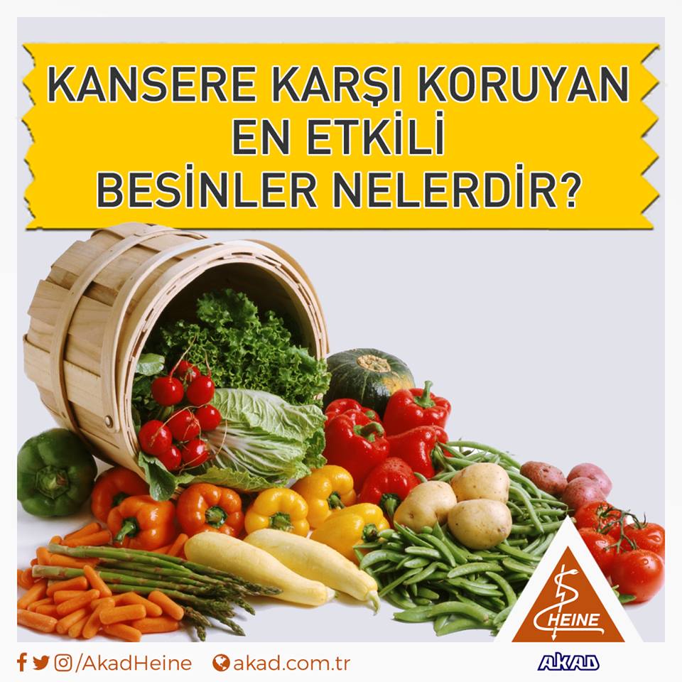 Kansere Karşı Koruyan En Etkili Besinler Nelerdir?instagram.com/p/BOj1wiGg9T5