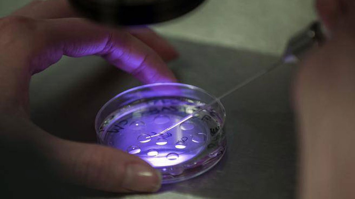 IVF clinic warns of sperm mix-up affecting 26 parents bit.ly/2iF0SYq https://t.co/PIBfBiCVLS