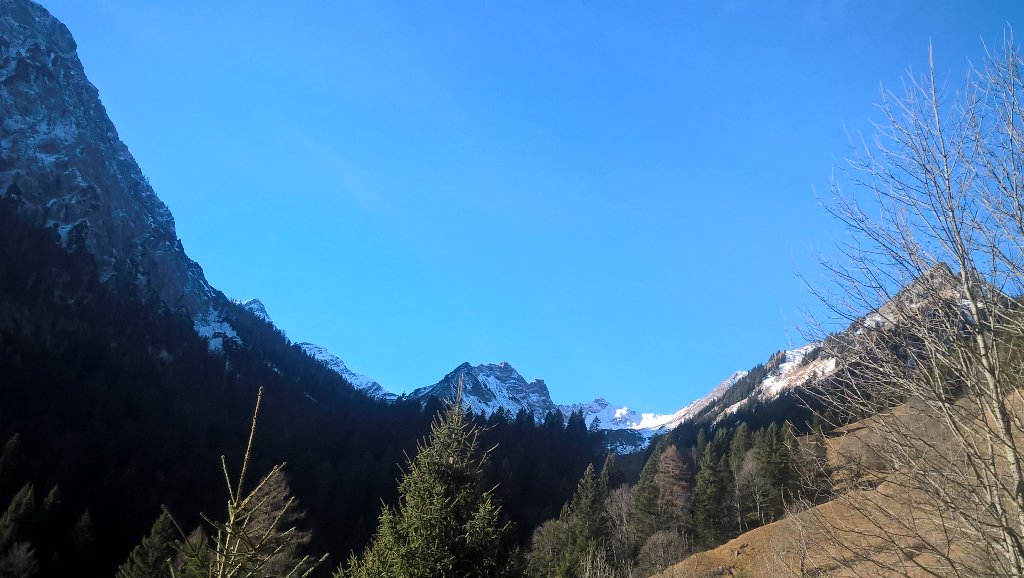 RichardToye's tweet photo. Some photos from my walk today #Austria #notenoughsnow #climatechange https://t.co/FaZckNQrhR