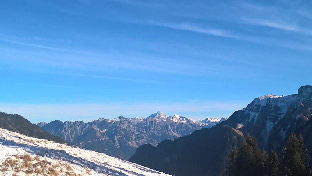 RichardToye's tweet photo. Some photos from my walk today #Austria #notenoughsnow #climatechange https://t.co/FaZckNQrhR