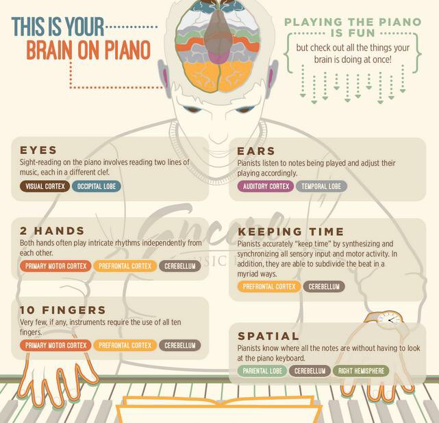 IMSCardiff's tweet photo. Here are some classical music graphics that you might find very informative and interesting! 👍🏻https://t.co/alHn3rqBJ2 https://t.co/OBIa5ZKk5T