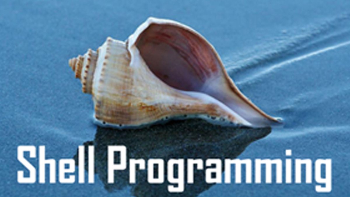1linuxtraining's tweet image. This #Shell #Programming #training #USA is designed for professionals and students.more details
ph:+17204633800
@ tinyurl.com/hax9f8x