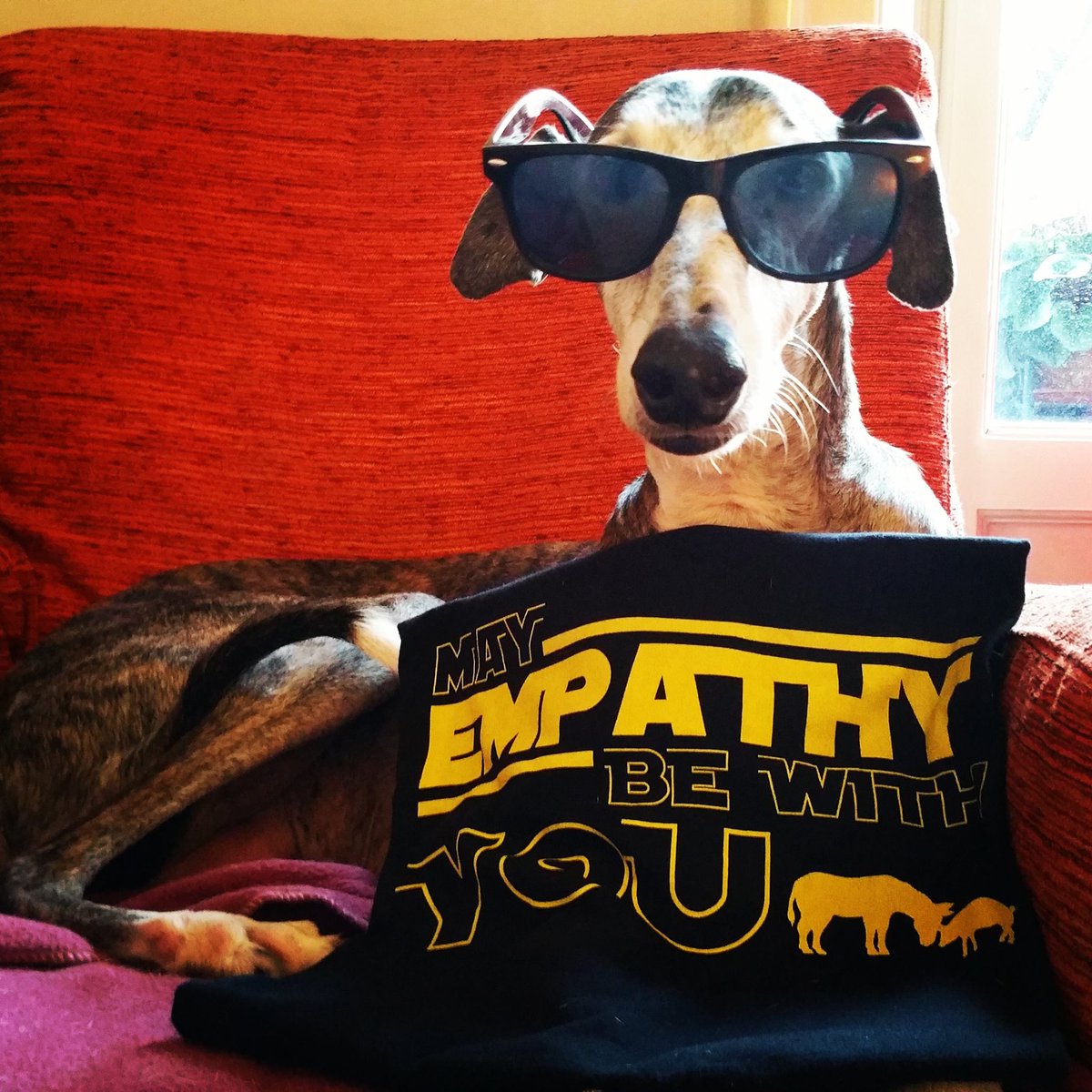 WorthWearingOrg's tweet image. Che la vera forza sia sempre con te! Sostieni @teecotee per i diritti di tutti gli esseri viventi» bit.ly/EmpaTee #StarWars #Leila