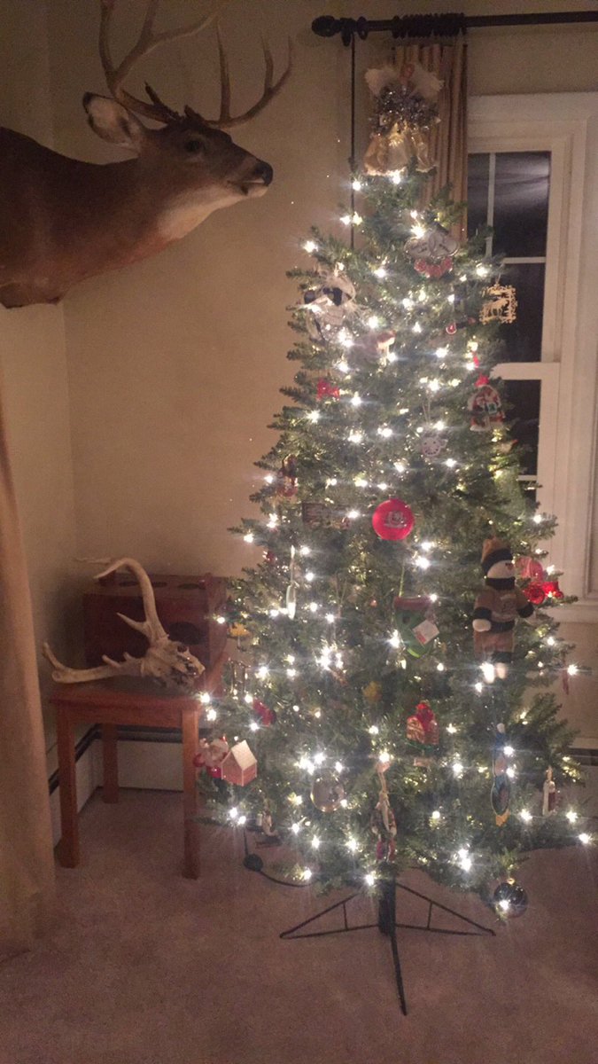 Channel_SIL's tweet image. Hope everyone had a very blessed Christmas with their families!!