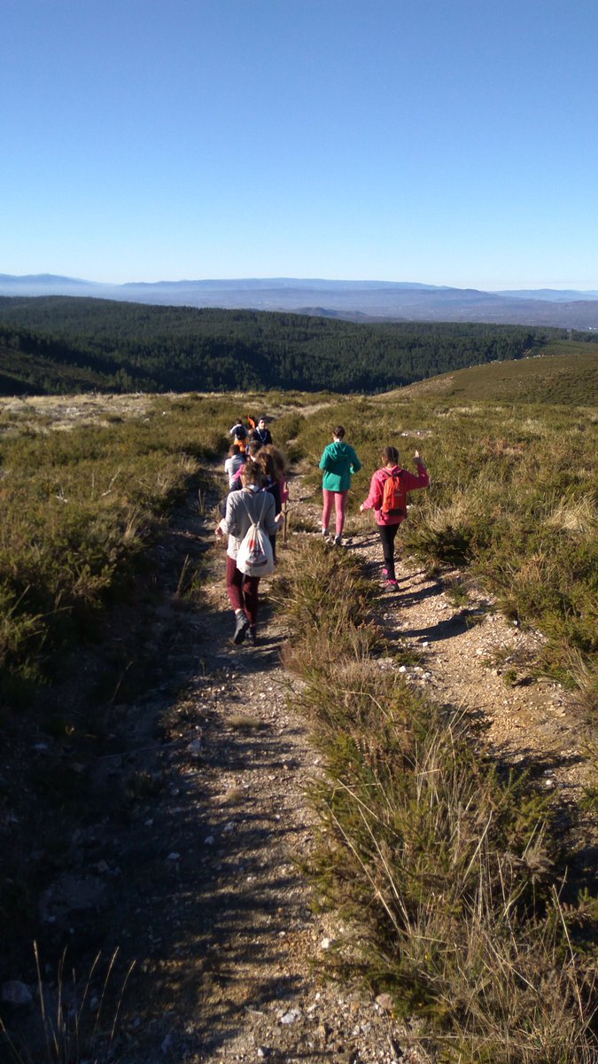 "Caminando por el bosque laralala entre la hierba mojada uh ah uhhhh... " #ModoRutaOn #scouts