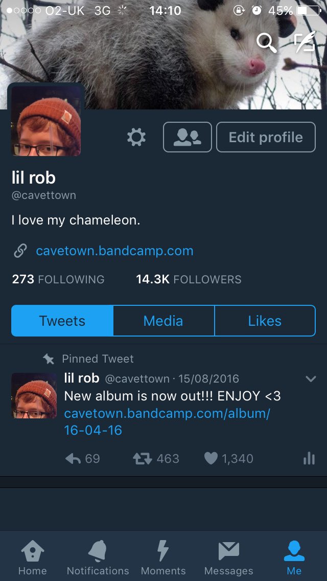 Robbie on Twitter: "Just realised that the oppossum on my profile look