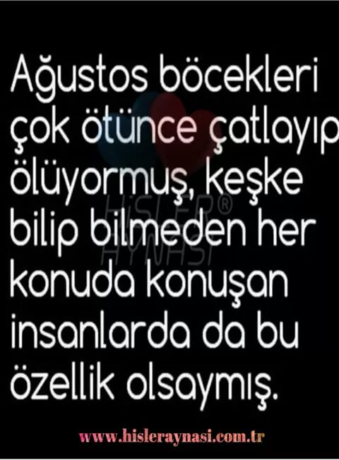 halil imrek (@imrakimrek) on Twitter photo 