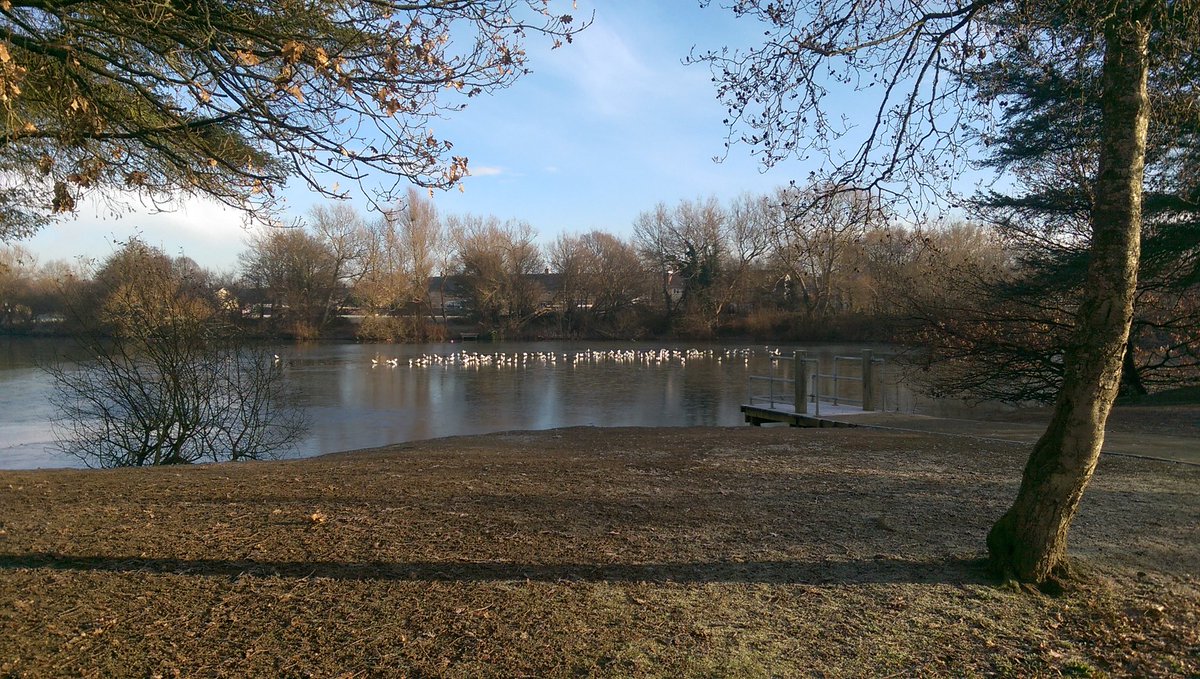 AccordionJen's tweet photo. ๐Beautiful sunny and frosty morning at #IfieldMillPond #WestSussex ๐ https://t.co/WYvpo69jKO