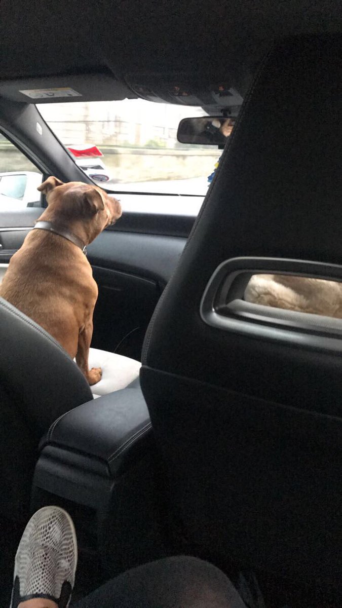 𝒞𝒽𝓁ℴℯ 🕊 tweet media