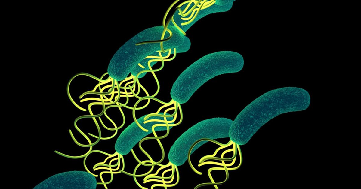 KIDS_DISCOVER's tweet photo. Kids will learn about Microbiomes in the Future of Science with this #FreeTopic https://t.co/ys5mD3F8Hk https://t.co/fYj6gITo97