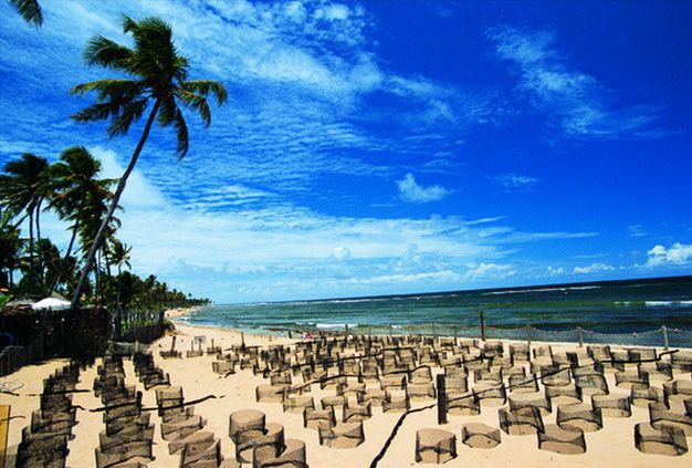 DescuBrasilMx's tweet photo. Gastronomía, capoeira y vida submarina. #DescubreBrasil #PraiaDoForte #Naturaleza #Paraíso https://t.co/d3ADHhtvsY https://t.co/rpelx6eFIL