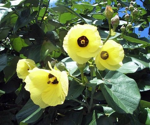 22歳のtwitterイラスト検索結果